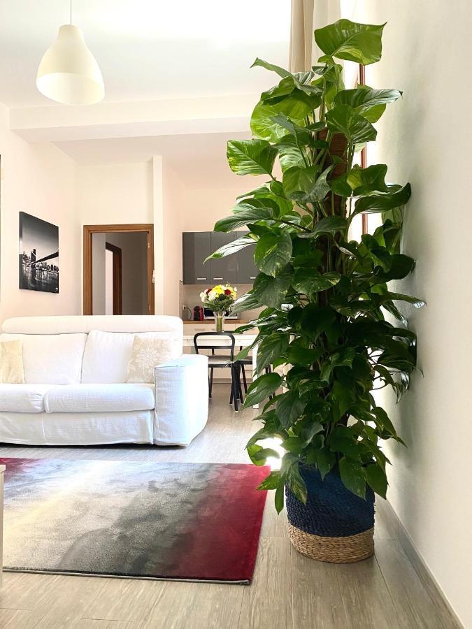 Appartement Delonix Regia Olbia Extérieur photo
